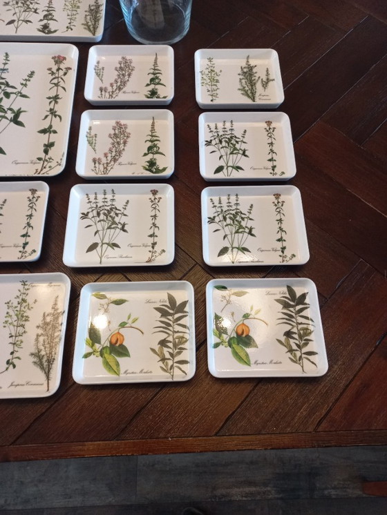 Image 1 of Vassoi botanici del marchio italiano Van Mebel (22)