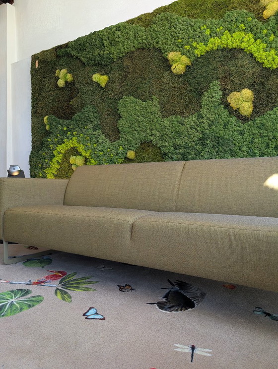 Image 1 of Artifort Mare 3-Sitzer-Sofa + Sessel | René Holten