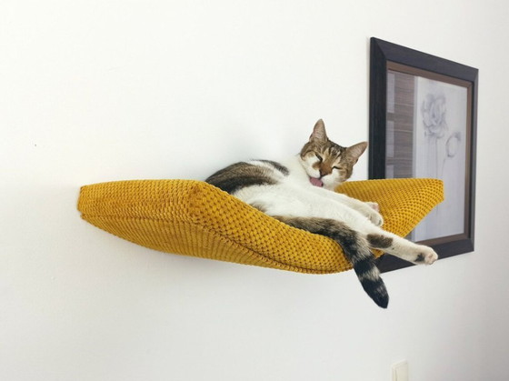 Image 1 of Kattenplank – The Arcing Haven 60 cm - onzichtbare bevestiging