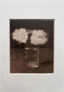 Jan Mankes 1889-1920 / Originele Heliogravure Glas met Appelbloesem 1923