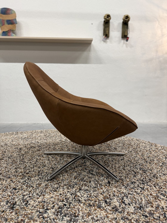 Image 1 of Etichetta van den Berg Hidde Poltrona Bufalo d'acqua Cognac