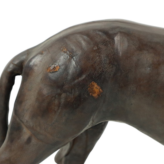 Image 1 of Pantera di pelle