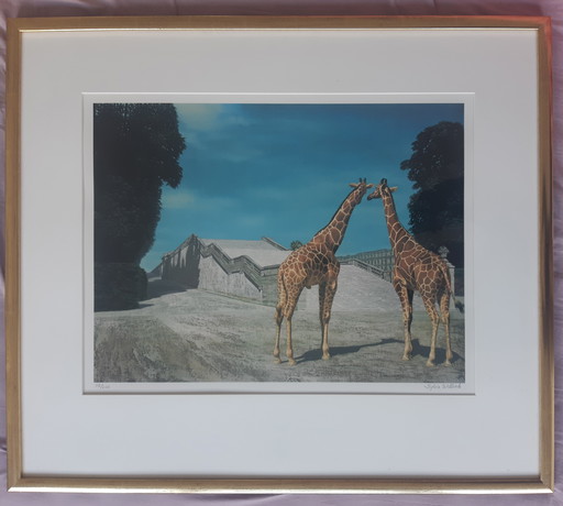Carel Willink Two giraffes in park Versailles