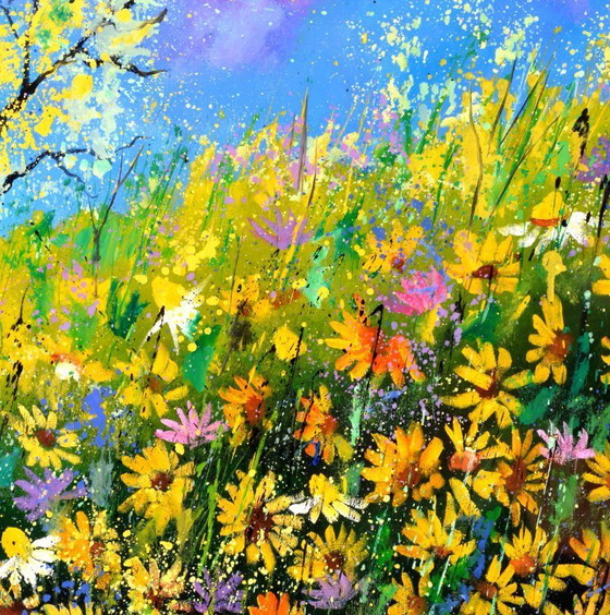 Image 1 of daisies in summer