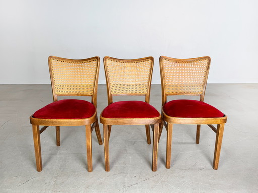 Original Set de 3 Chaises Thonet A811/1 Josef Hoffmann 1951 Rembourrées