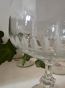 Juego de 5 copas de champán coupe de cristal