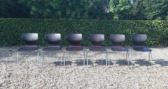 Image 1 of Set Flötotto Pagholz eetkamerstoelen   palisander 