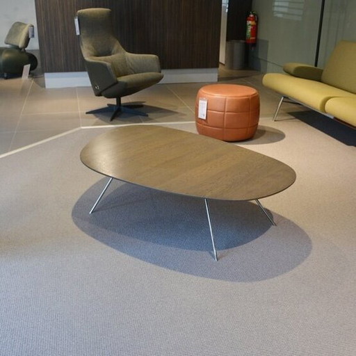 Leolux Liliom XL coffee table