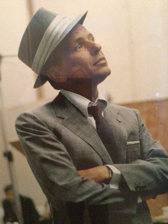 Image 1 of veranda foto / 3 platenhoezen/ koffietafelboek van Frank Sinatra