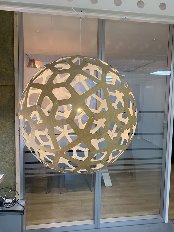 Image 1 of Lampada a sospensione in bambù/bianco Coral 100 David Trubridge