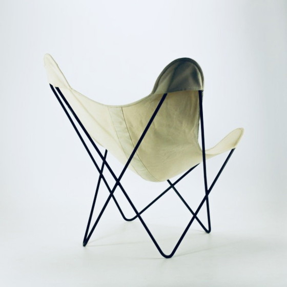 Original “Butterfly” Chair from the 1950s – Knoll, Chairs and lounge chairs, Metal, Canvas (photo 3 of 5)