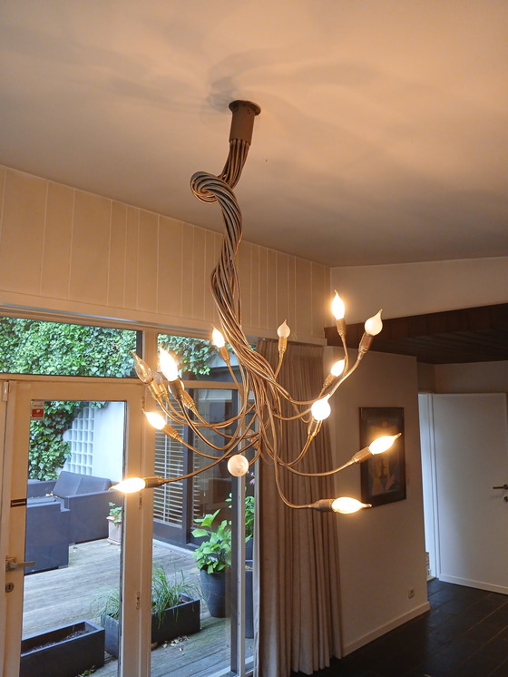 Image 1 of Luster Catelani & Smith