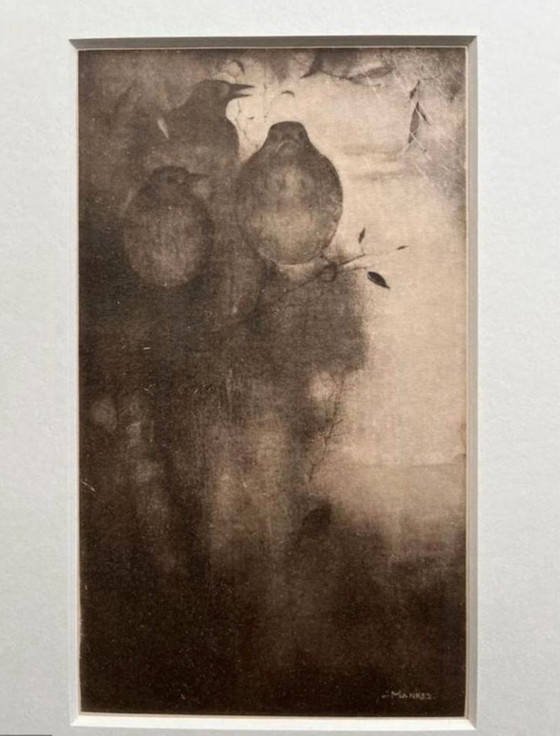 Image 1 of Jan Mankes 1889-1920 / Original Heliogravüre Drosseln in der Abenddämmerung 1923