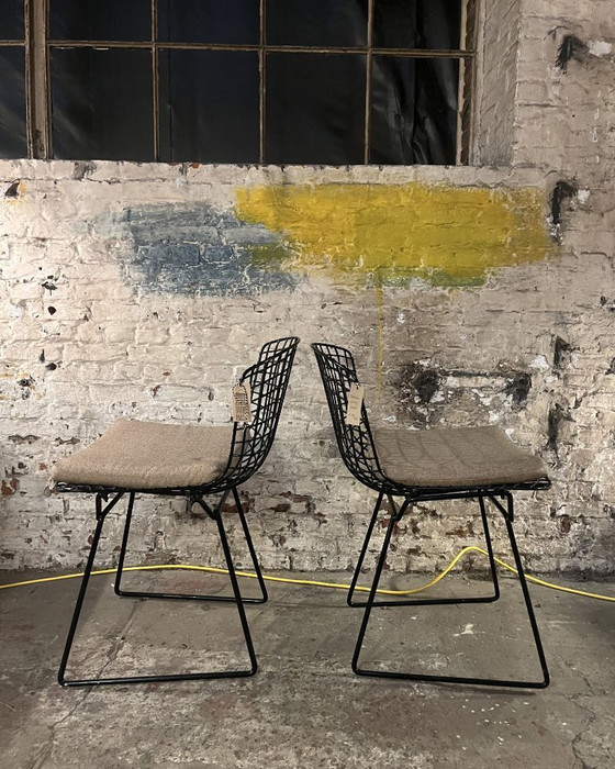 Image 1 of 2 zwarte wire chairs van Bertoia voor Knoll