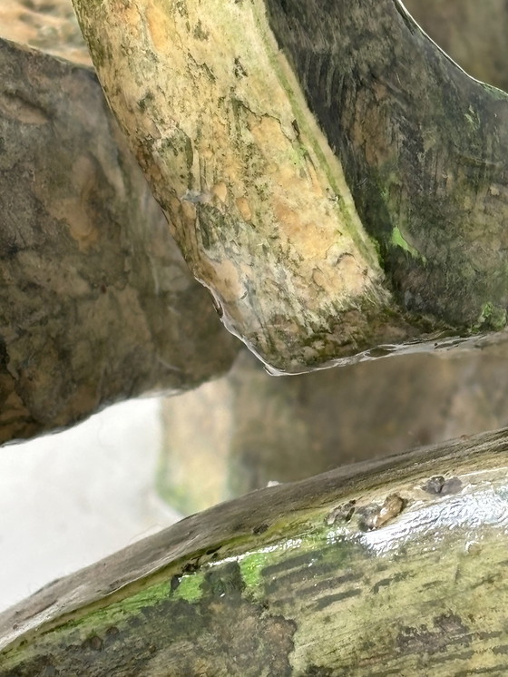 Image 1 of "La donna" scultura firmata Yazan Maksoud