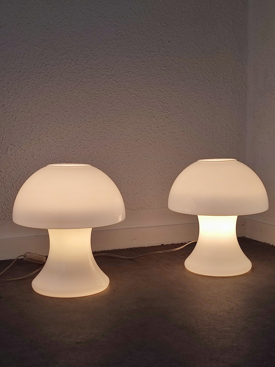 Image 1 of Set 1970S - s.e.c. France - mushrooms 