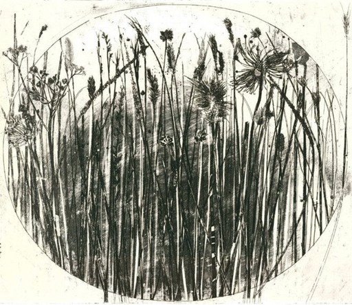 Paola Pitzianti - Grasses And Flowers 