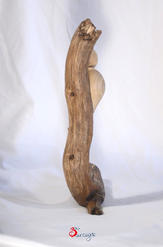 Uccello decorativo sul suo ramo, in legno massello artigianale, Made in France, 21x30cm – Bois d'Arcogne (photo 3 of 5)