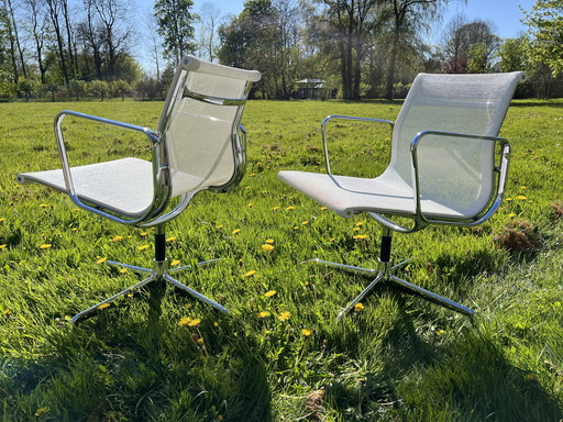 2X EA107 rete bianca