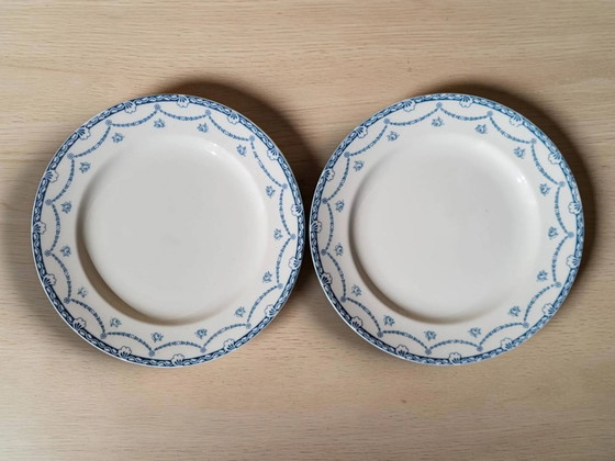 6 platos de loza inglesa "Cheltenham" — F. Winkle & Co – Porcelain, Art Nouveau (photo 4 of 8)