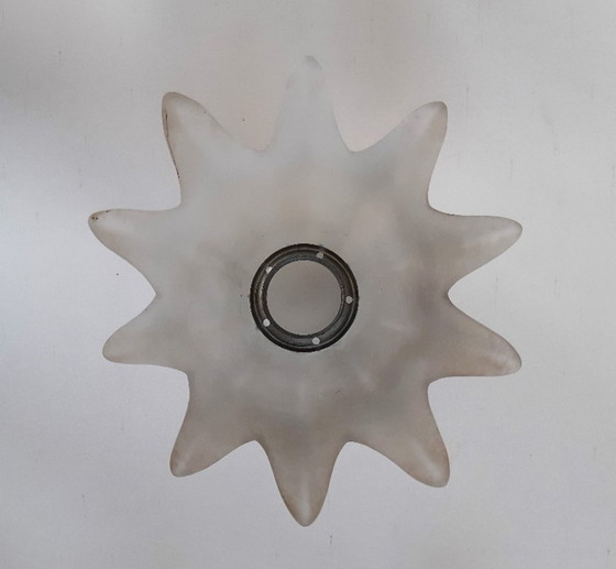 Image 1 of Lampada a sospensione in vetro ghiacciato a forma di calice e di petalo