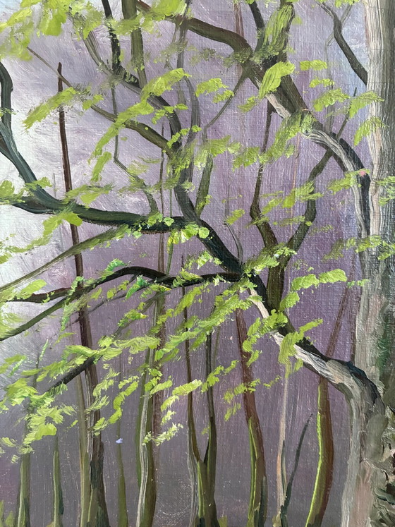 Image 1 of Vintage original forest landscape oil painting, circa 1960s
