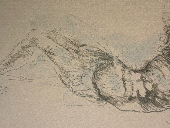 Image 1 of Magnifique lithographie de Marino Marini. Publiée en 1971 par S.P.A.D.E.M. à 800 exemplaires.