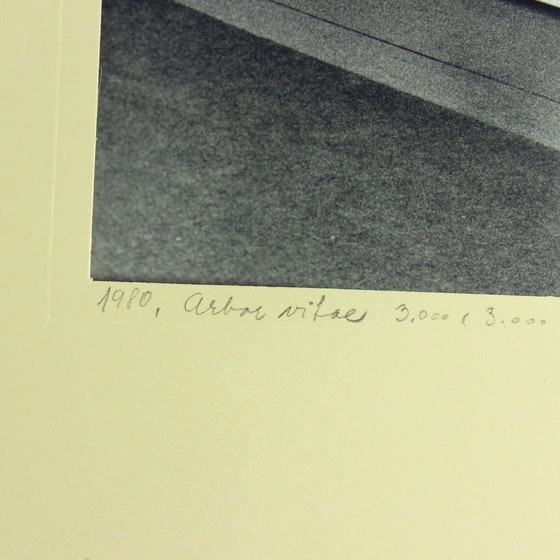 Image 1 of Set van 2 vintage foto's van keramisch kunstwerk door Ditta Abrahámová, Tsjecho-Slowakije 1980