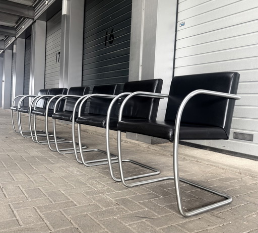 6 sedie Brno di Mies van der Rohe, Fasem, in pelle nera