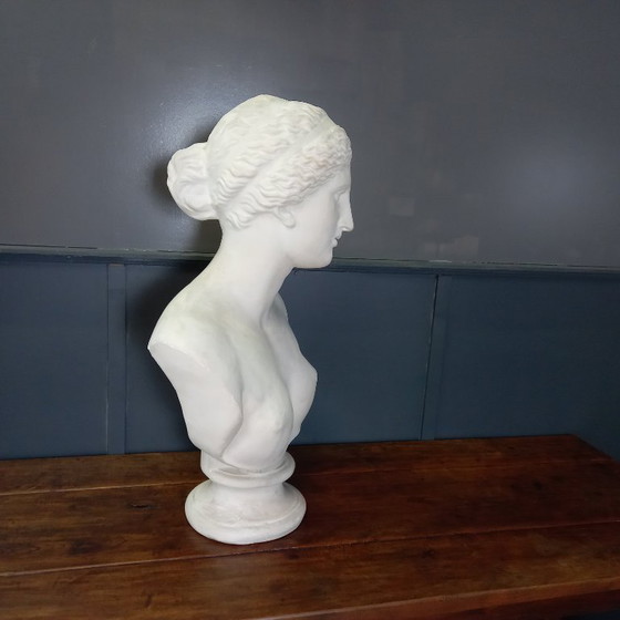 Image 1 of Busto excepcionalmente grande de tamaño natural de la Venus de Milo, busto grande de yeso