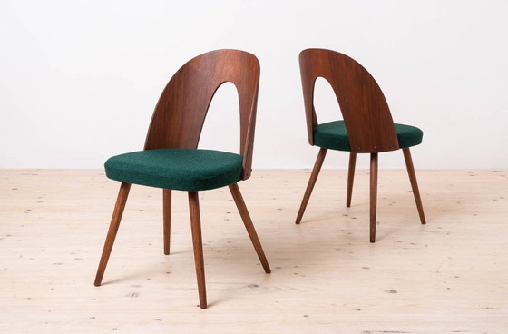 Image 1 of Set of 10 Mid Century Dining Chairs by A. Šuman, 1960s, Customizable Upholstery Available