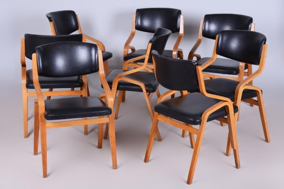 Set of Eight Restored Mid-Century Chairs, by Ludvik Volak, Maple, Czech, 1960s – Dining chairs, Wood, Skai (photo 11 of 20)