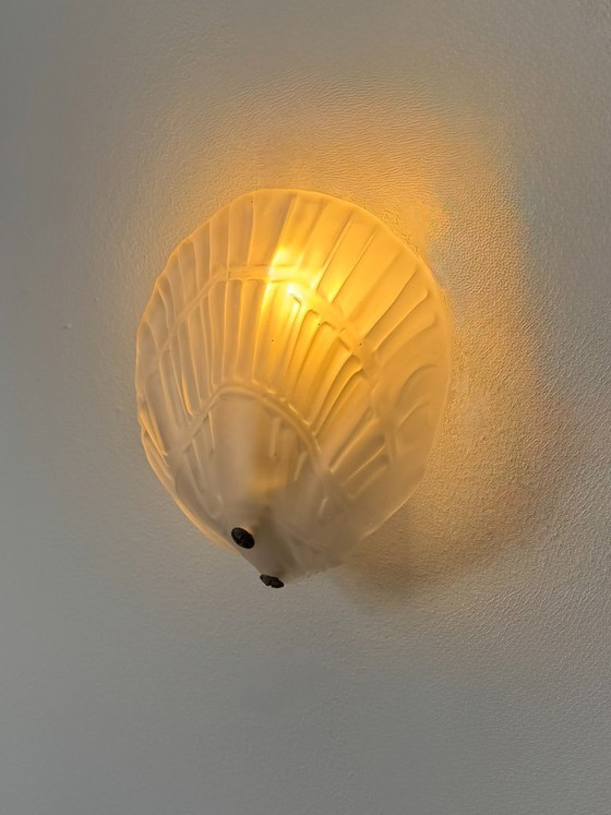 Image 1 of Paire d'appliques coquillages verre sablé, France, 1970