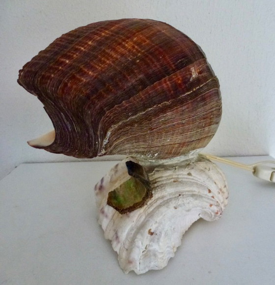 Image 1 of Preciosa lámpara hecha con una concha de abulón antigua.