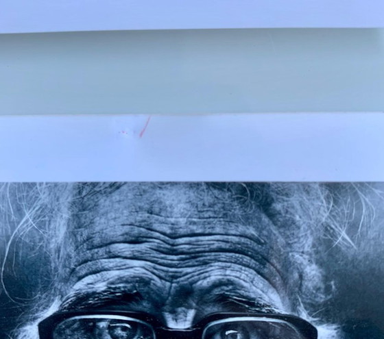 Image 1 of GHOST PIECE: Lee Jeffries "Lost Angels" – Set Completo 20 Stampe – Edizione YellowKorner SOLD OUT Worldwide