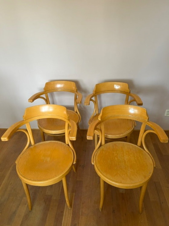 4x Buchenstühle – selection norm, Esszimmerstühle, Wood (photo 5 of 5)