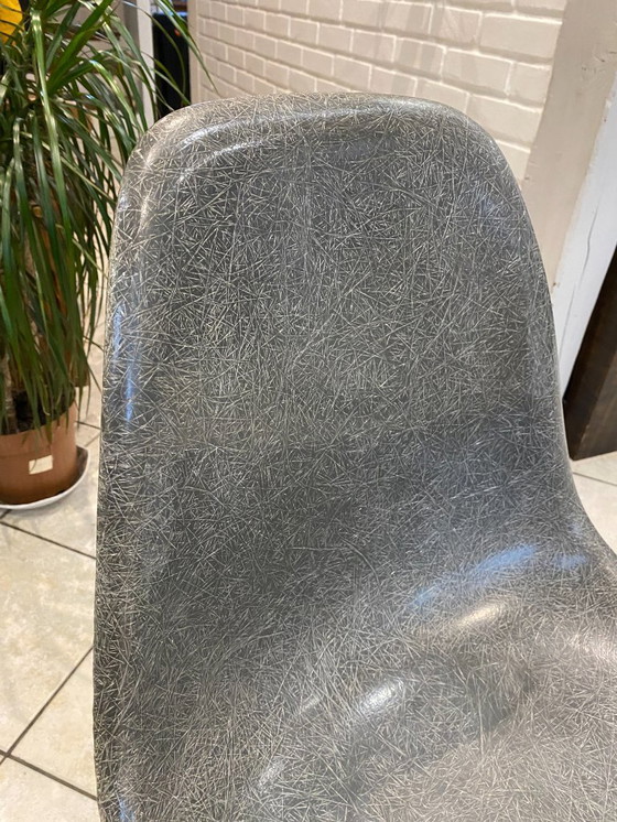 Image 1 of Sedia DSW, fibra grigio elefante, noce tassello, Eames Herman Miller vintage 1950
