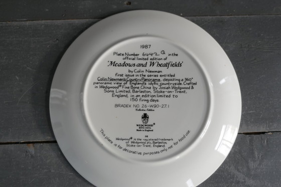Image 1 of Assiettes décoratives Wedgwood 3 x par Colin Newman 1987