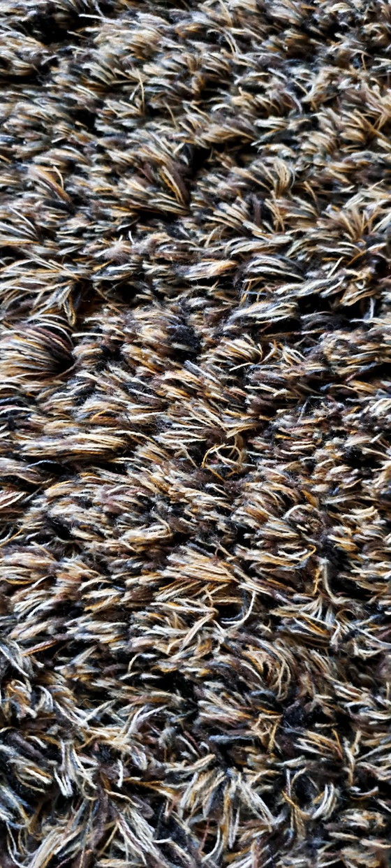 Image 1 of Carpet Sign Sauvage 200x300cm