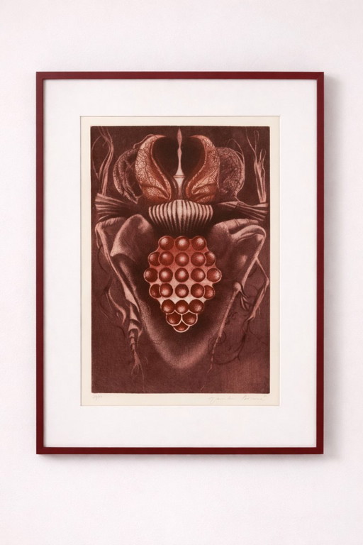 Stampa in edizione limitata “Vinný brouk”, Jaroslava Pešicová, 1982, Cecoslovacchia