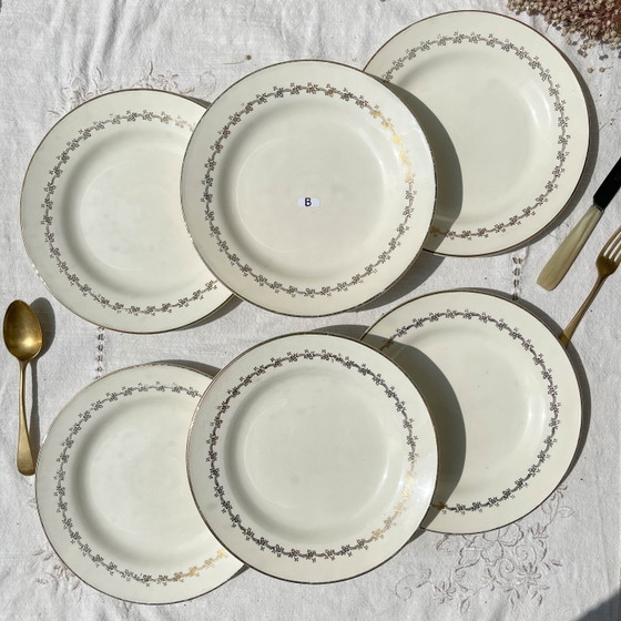6 Platos DIGOIN SUZY de Porcelana Opaca – Loza (photo 7 of 10)