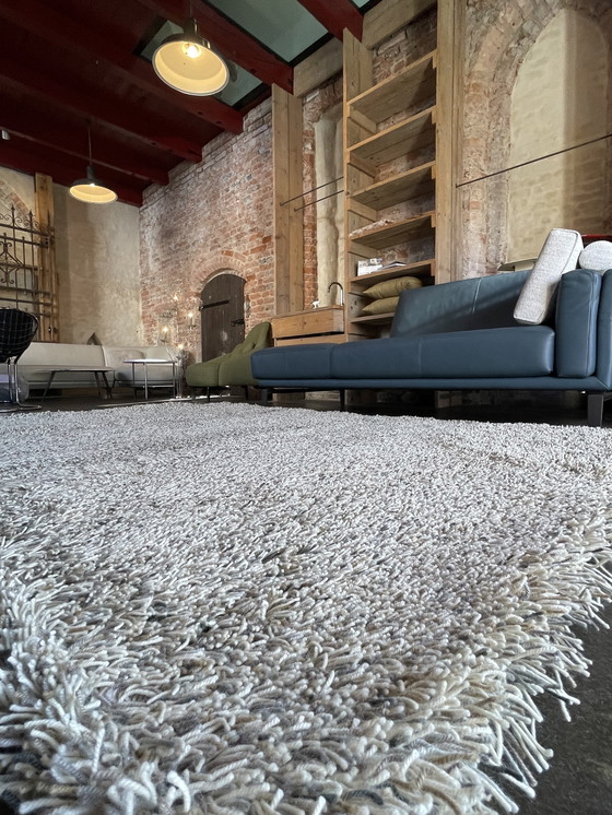 Image 1 of Brink e Campman Jazz Lush Carpet Storm Nuovo