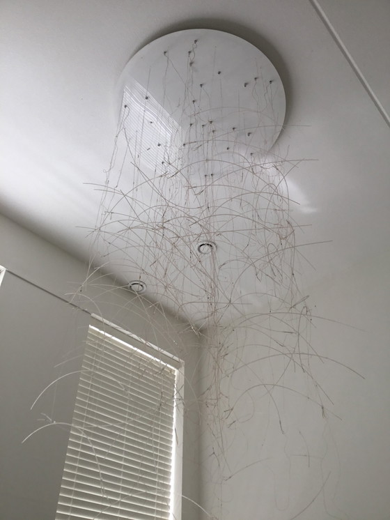 Image 1 of Lampada da sospensione Ligne Roset Brindilles