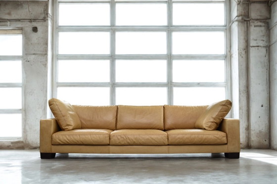 Image 1 of Wunderschönes großes Flexform Status Sofa von Antonio Citterio