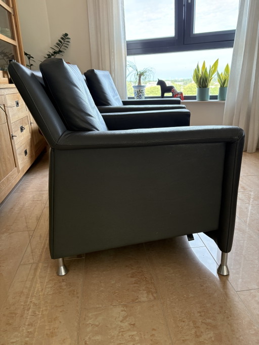 2 beautiful Leolux Evidence Paian armchairs