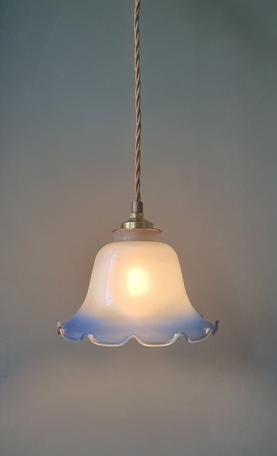 Image 1 of Vintage frosted glass pendant lamp in floral shape.
