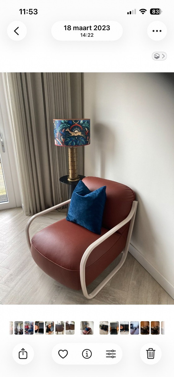 Image 1 of Chap Pode di Leolux in pelle