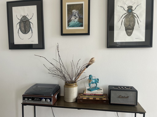 Original "Macro-Entomology" Studies by Natalia Molinska (2021)