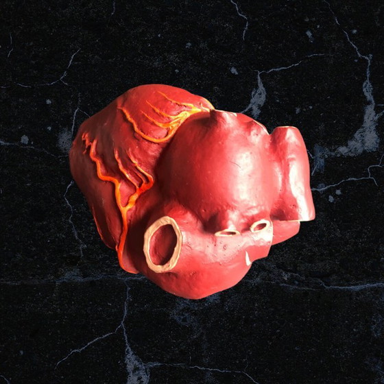 Image 1 of Trasicor retard vintage lifesize medical human heart specimen model anatomical physician's educational boxed 80s