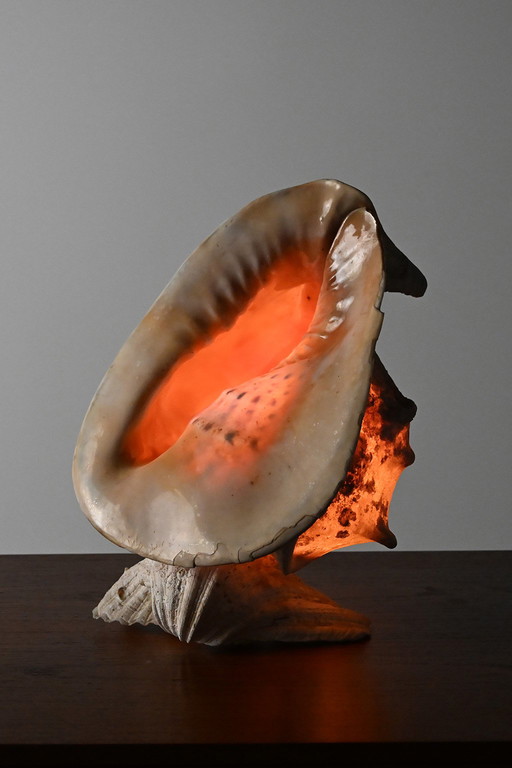 Vintage schelplamp